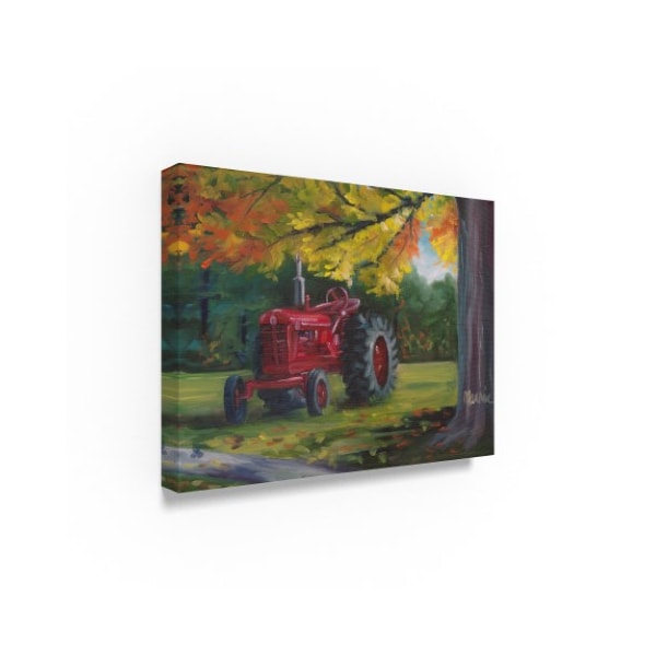 Marnie Bourque 'Farmall Splendour' Canvas Art,24x32